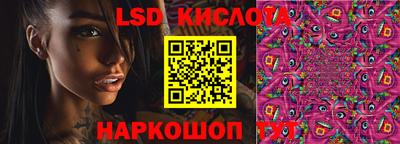 ПСИЛОЦИБИНОВЫЕ ГРИБЫ Кингисепп
