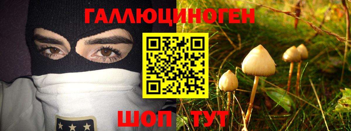 Галлюциногенные грибы Psilocybe  где найти   Канаш  Галлюциногенные грибы Magic Shrooms  Вход с VPN 